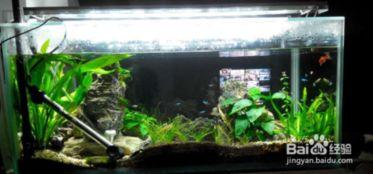 国产水草灯推介视频,打造水族箱生态之美，点亮绿色生活新风尚  第1张