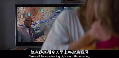 国产三七区精品视频,探寻自然与文化的瑰宝  第3张