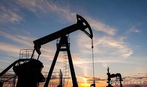 俄罗斯石油对比视频国产  第3张