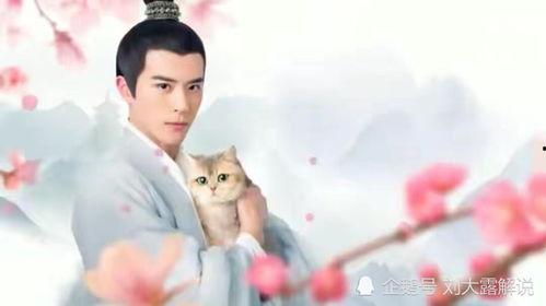 人人视频国产剧推荐,人人视频热门推荐盘点 第3张 人人视频国产剧推荐,人人视频热门推荐盘点 第3张