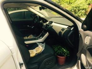 国产路虎收车视频播放大全,精彩视频一网打尽 第3张 国产路虎收车视频播放大全,精彩视频一网打尽 第3张