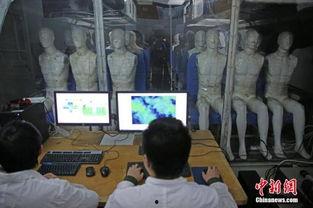 国产性视频高清播放  第1张