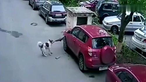 国产小车爬坡视频教程,视频教程带你轻松征服坡道挑战  第2张