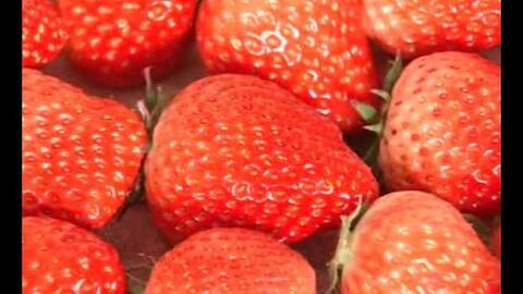 草莓视频国产旧版,重温经典，回味无穷的短视频时光  第3张