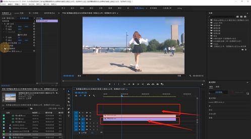 视频预录功能国产  第3张