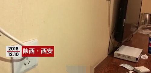 学生酒店国产视频,青春校园的温馨瞬间