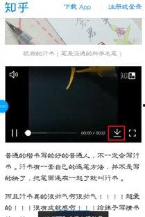 国产自存视频,记录时代记忆，展现文化魅力